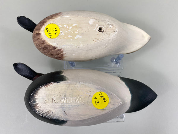 Kenny Weeks Pair of Third Size Canvasbacks (#7800)
