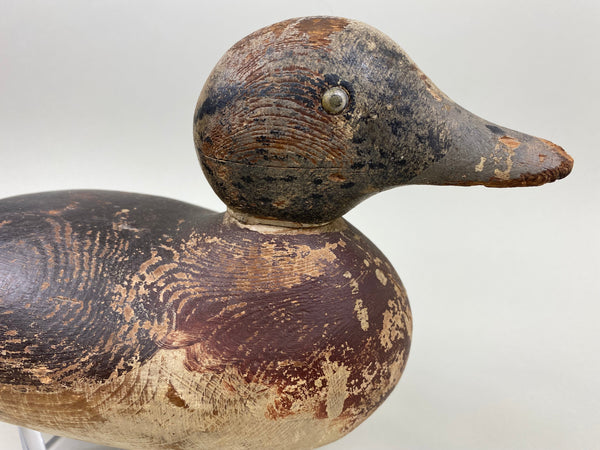 Mason Widgeon Hen, Circa 1920's (#7817)