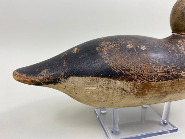 Mason Widgeon Hen, Circa 1920's (#7817)