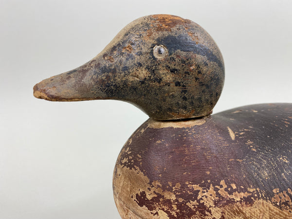Mason Widgeon Hen, Circa 1920's (#7817)