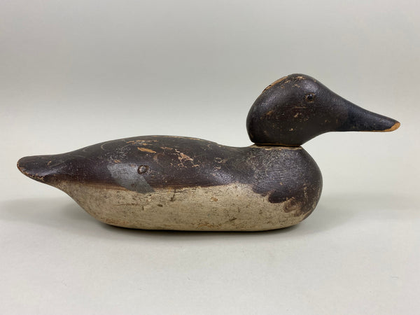 Mason Canvasback Hen, Circa 1920's (#7820)