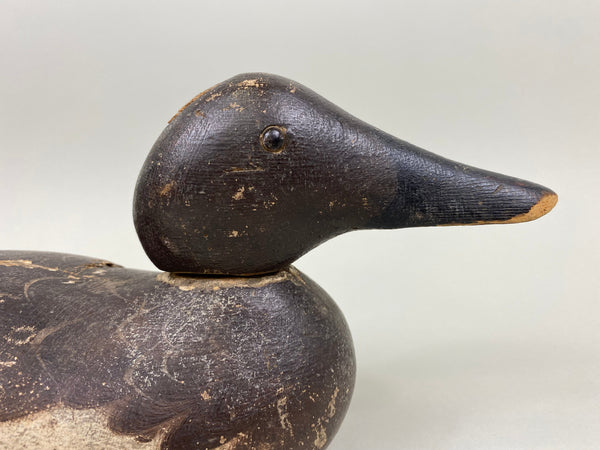 Mason Canvasback Hen, Circa 1920's (#7820)