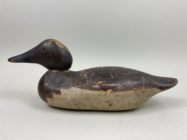 Mason Canvasback Hen, Circa 1920's (#7820)