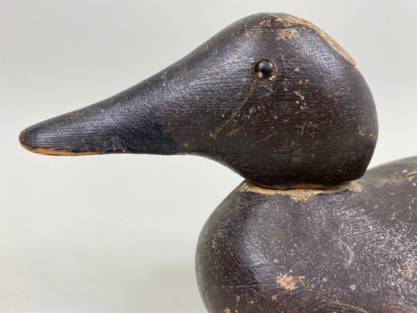 Mason Canvasback Hen, Circa 1920's (#7820)