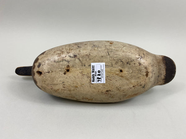 Mason Canvasback Hen, Circa 1920's (#7820)