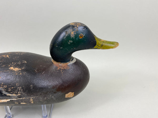 Mason Challenge Grade Mallard Drake, Original Paint (#7821)