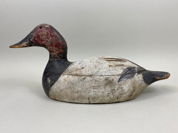 Evans Canvasback Drake, Original Paint, Circa 1930's (#7834)