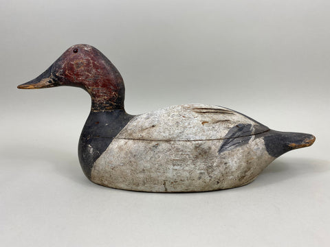 Evans Canvasback Drake, Original Paint, Circa 1930's (#7834)