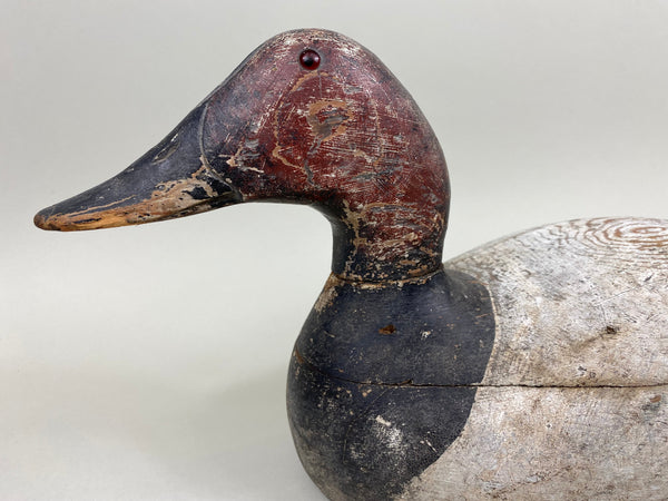 Evans Canvasback Drake, Original Paint, Circa 1930's (#7834)