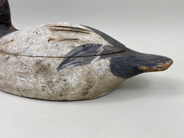 Evans Canvasback Drake, Original Paint, Circa 1930's (#7834)