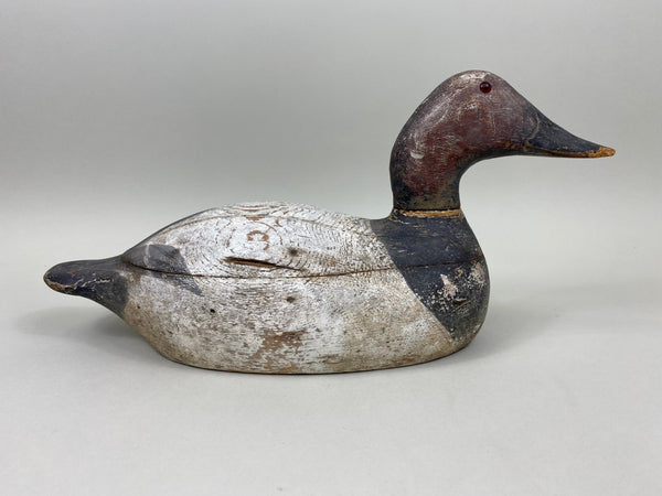 Evans Canvasback Drake, Original Paint, Circa 1930's (#7834)