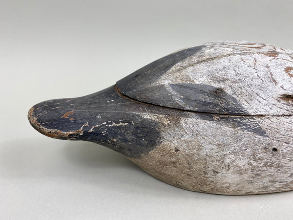 Evans Canvasback Drake, Original Paint, Circa 1930's (#7834)