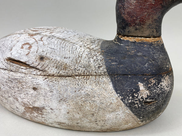 Evans Canvasback Drake, Original Paint, Circa 1930's (#7834)