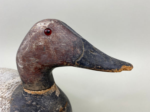 Evans Canvasback Drake, Original Paint, Circa 1930's (#7834)