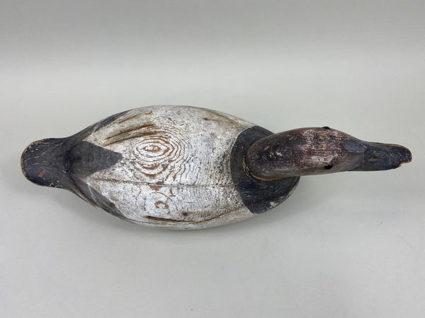 Evans Canvasback Drake, Original Paint, Circa 1930's (#7834)