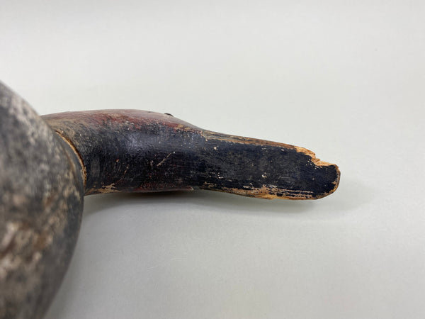 Evans Canvasback Drake, Original Paint, Circa 1930's (#7834)