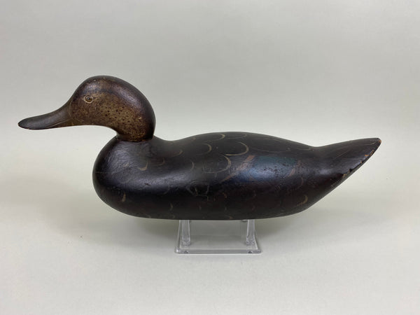 Mason Black Duck Challenge Grade, Original Paint (#7843)
