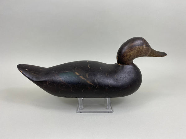 Mason Black Duck Challenge Grade, Original Paint (#7843)