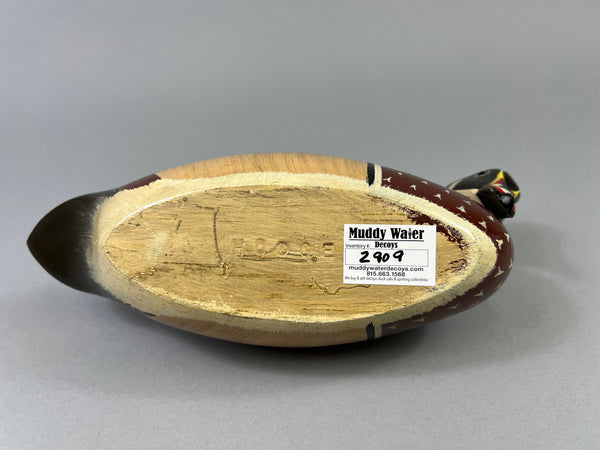 Virgil Hodge Wood Duck Raised Wings (#2909)