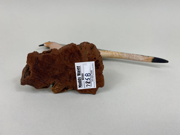 Unknown Flattie Mourning Dove (#7858)