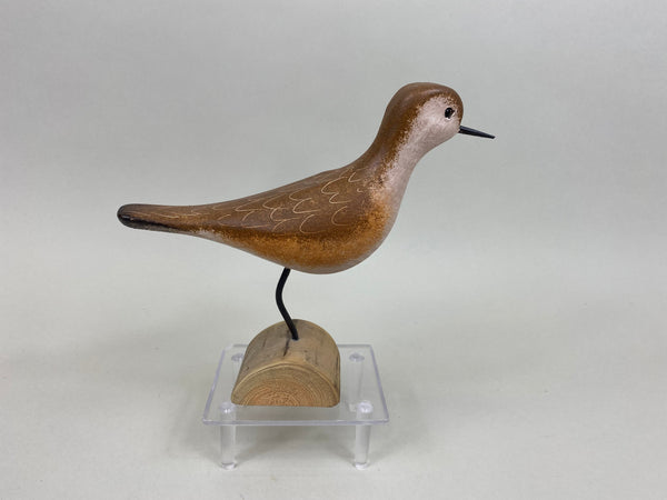 Jim Slack Mountain Plover Shorebird (#7864)