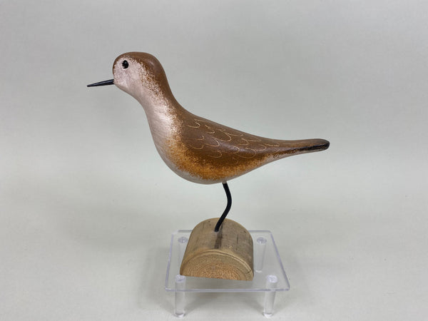 Jim Slack Mountain Plover Shorebird (#7864)