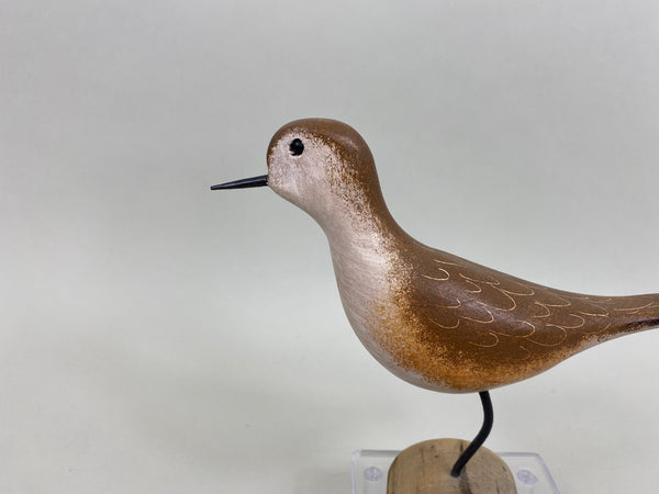 Jim Slack Mountain Plover Shorebird (#7864)