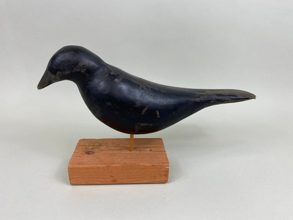 Illinois River Crow (#7866)