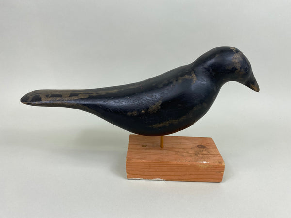 Illinois River Crow (#7866)