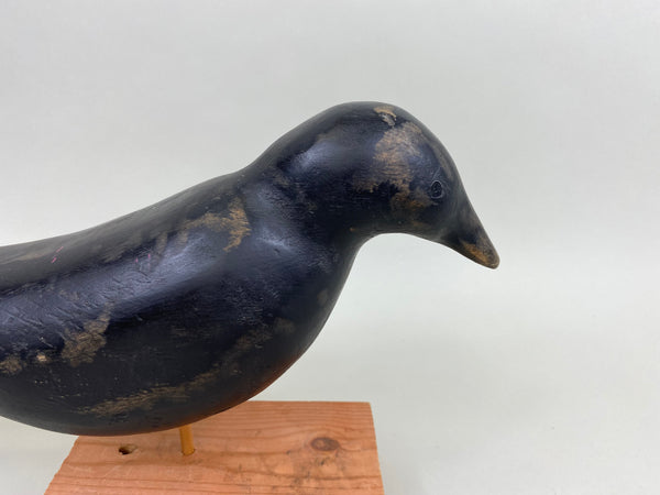 Illinois River Crow (#7866)