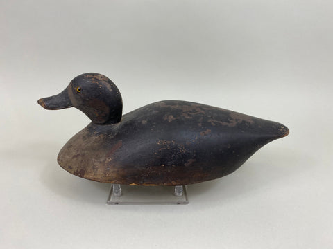 Unknown Canadian Bluebill Hen, Circa 1920's (#7870)