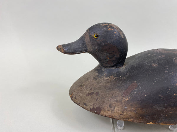 Unknown Canadian Bluebill Hen, Circa 1920's (#7870)