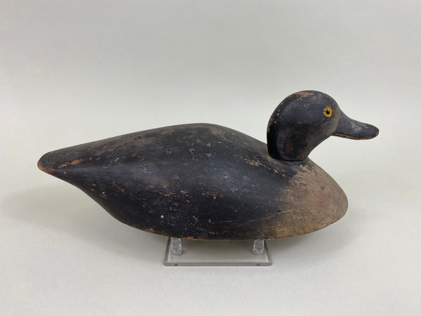 Unknown Canadian Bluebill Hen, Circa 1920's (#7870)