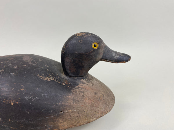 Unknown Canadian Bluebill Hen, Circa 1920's (#7870)