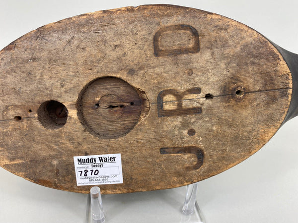 Unknown Canadian Bluebill Hen, Circa 1920's (#7870)