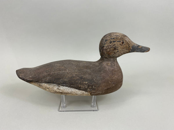 Tule Lake Widgeon Hen Original Paint (#7873)