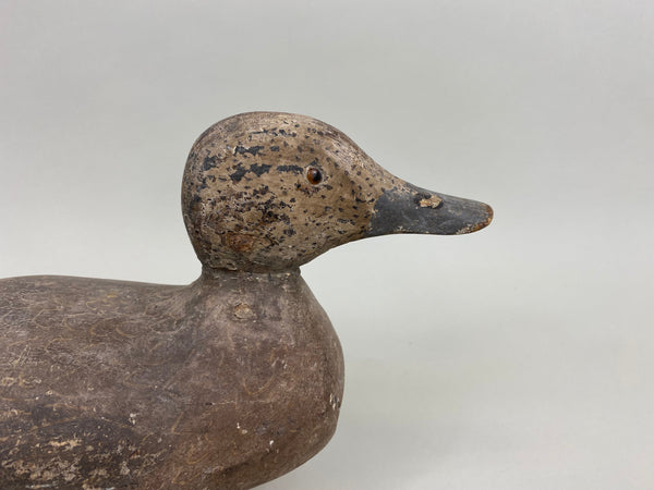 Tule Lake Widgeon Hen Original Paint (#7873)
