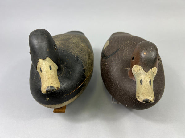 Keyes Chadwick Pair of Bluebills, Original Paint (#4847)