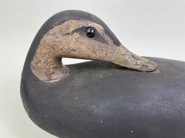 Rhoades Truex Black Duck Sleeper, Crica 1900's (#7901)