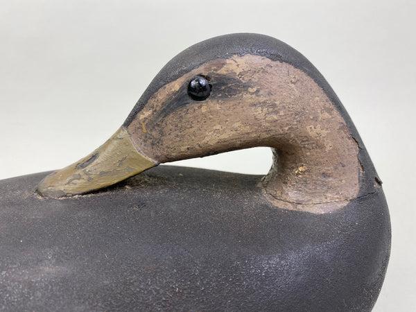 Rhoades Truex Black Duck Sleeper, Crica 1900's (#7901)