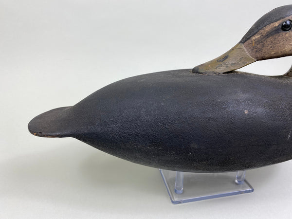 Rhoades Truex Black Duck Sleeper, Crica 1900's (#7901)