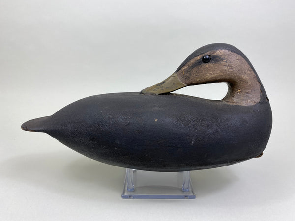 Rhoades Truex Black Duck Sleeper, Crica 1900's (#7901)