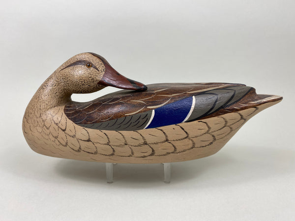 Illinois River Mallard Hen Sleeper, Charlie Moore Paint (#7905)