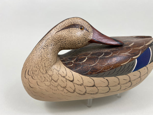 Illinois River Mallard Hen Sleeper, Charlie Moore Paint (#7905)