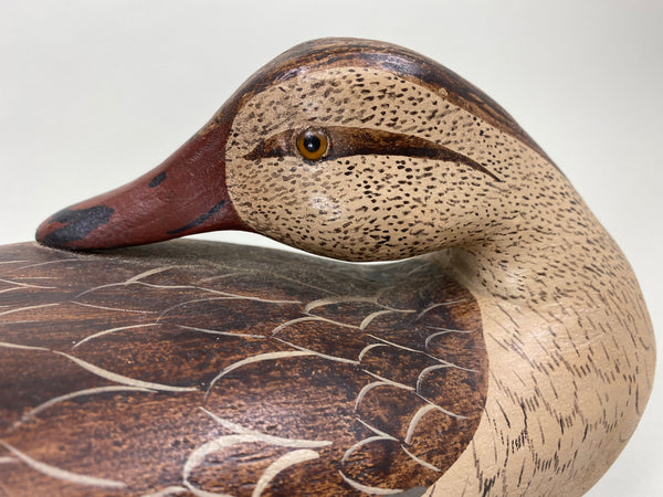 Illinois River Mallard Hen Sleeper, Charlie Moore Paint (#7905)