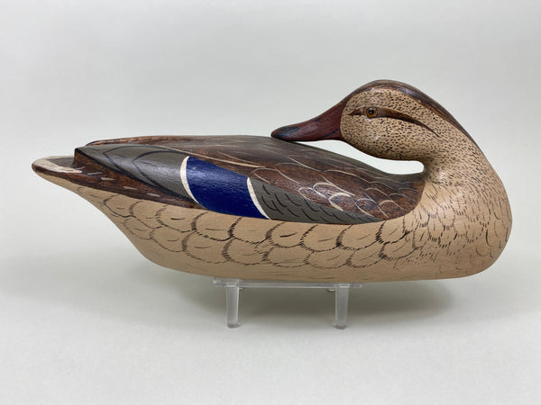 Illinois River Mallard Hen Sleeper, Charlie Moore Paint (#7905)