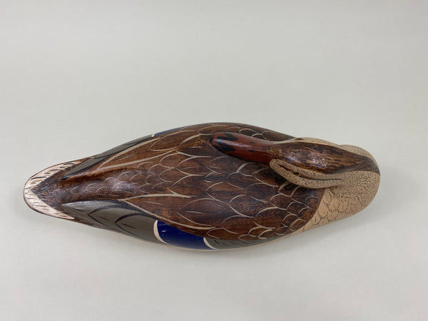 Illinois River Mallard Hen Sleeper, Charlie Moore Paint (#7905)