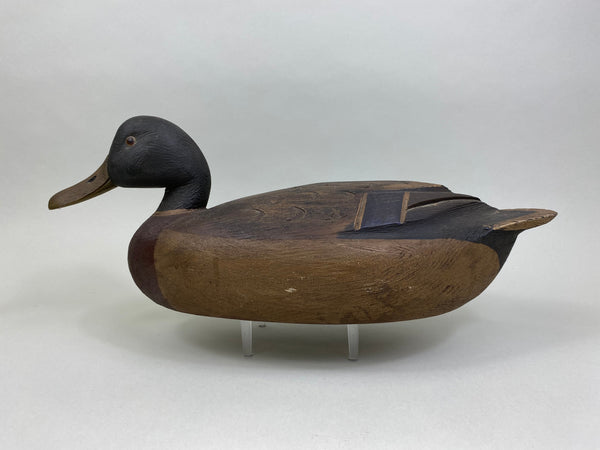 Ralph Malpage Mallard Drake, Early Example (#7908)