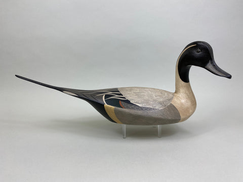 Torry Ward / Charlie Moore Pintail Drake (#7911)