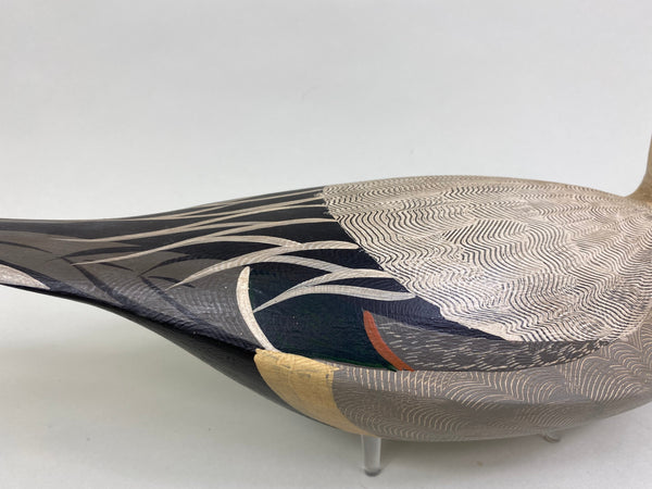 Torry Ward / Charlie Moore Pintail Drake (#7911)